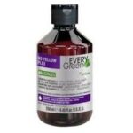 Shampoing EVery Green NO YELLOW PLEX 250ML